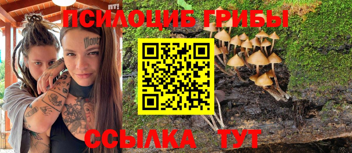 Нерюнгри  Псилоцибиновые грибы Magic Shrooms  Вход с VPN 